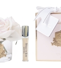 "Côte Noire" - Cinco Rosas Blush Perfumadas